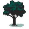 Oak Tree Insurance Agency