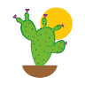 Oasi Cactus