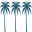 Oasis Capital Solutions LLC