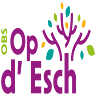 Public Elementary School (OBS) Op d'Esch