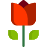 OCCASION Tienda de flores