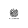 Ocean Laundry
