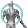 Ocean Physiotherapy & Sports Injury Clinic
