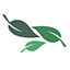 O'Connnell Accounting Services, LLC