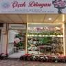 ÇİÇEK DÜNYASI