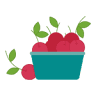 Minicamping Oenselsfruitweike