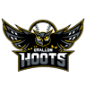 The O'Fallon Hoots Baseball Team at CarShield Field