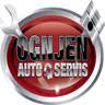 Ognjen Auto Servis Futog