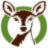 ohDEER South Shore