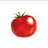 Ohio Heirloom Seeds