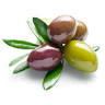 Oil & Spice Company