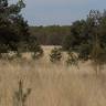 Oirschotse Heide