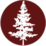 Old Spruce Brewing