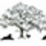 Old Towne Animal Hospital: Phillips Lindsay DVM