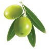 Olive Oil MAUR & Accomodation