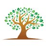 Olive Tree Growth Partners