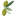 Olive Tree Memorial - Olive Trees Planted in Italy & Sicily for celebrations and memorials.