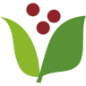 Omotecho Pharmacy