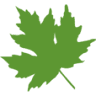 One Credit Union