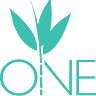 Facials and Skin Care at One Energy Wellness Spa - Marietta Georgia