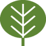 One Tree Yoga - East Studio