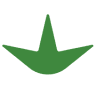 Options Cannabis Co.