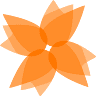 Orange City Chiropractic