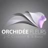 Orchidée fleurs/évent