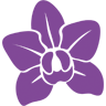 Orchid medicity