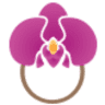 Thodupuzha Orchid Garden - Orchid Plants for Sale- Orchid Plants online sale in all over India
