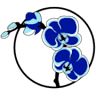 Orchid Solicitors