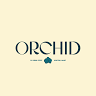 Orchid Lewiston