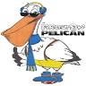 The Frozen Pelican