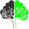 Organic Mindset Agency Inc.
