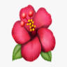 Chinese Massage & Four Hands Massage In Woking and Camberley Surrey - Oriental Flower Spa