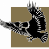 Medallion Title Services