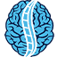 Orlando Neurosurgery - Mount Dora