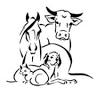 Orland Veterinary Hospital