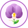Orquidário e Floricultura Vale do Rio Doce