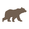 Orso Momo