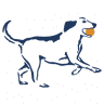 Veterinary Orthopedic Services
