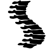 OrthoVeritas