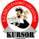 OSK Kursor