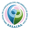 Centro para la Salud Integral de la Mujer - OSSACRA