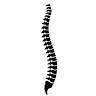 Outback Chiropractic