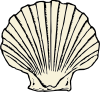 Outer Banks Health Insurance