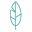 Owl Design