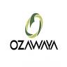Business Hotel Ozawaya