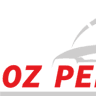 OZ Performance GmbH - KFZ Meisterbetrieb