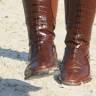 Paard & Laars
